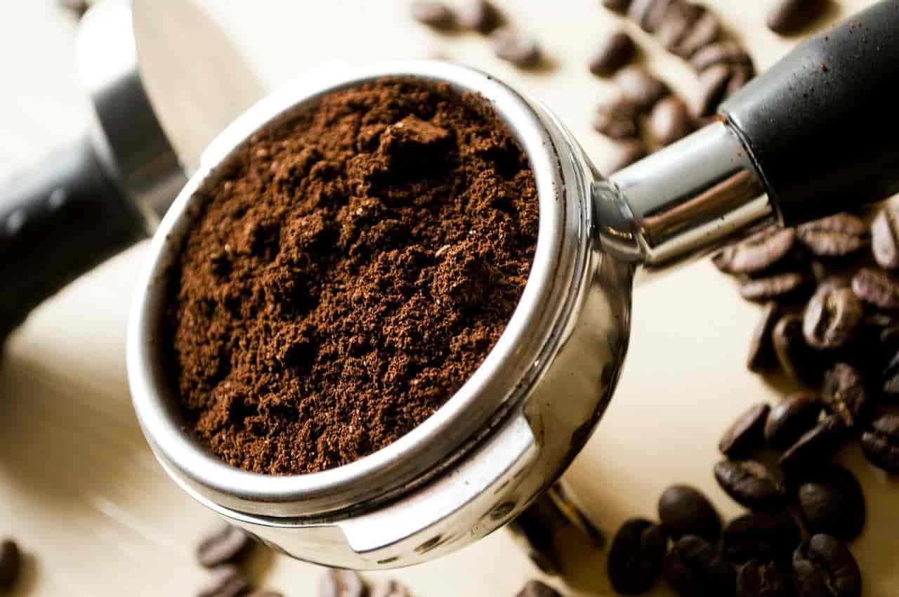 Do Pothos Like Coffee Grounds? Here’s The Answer