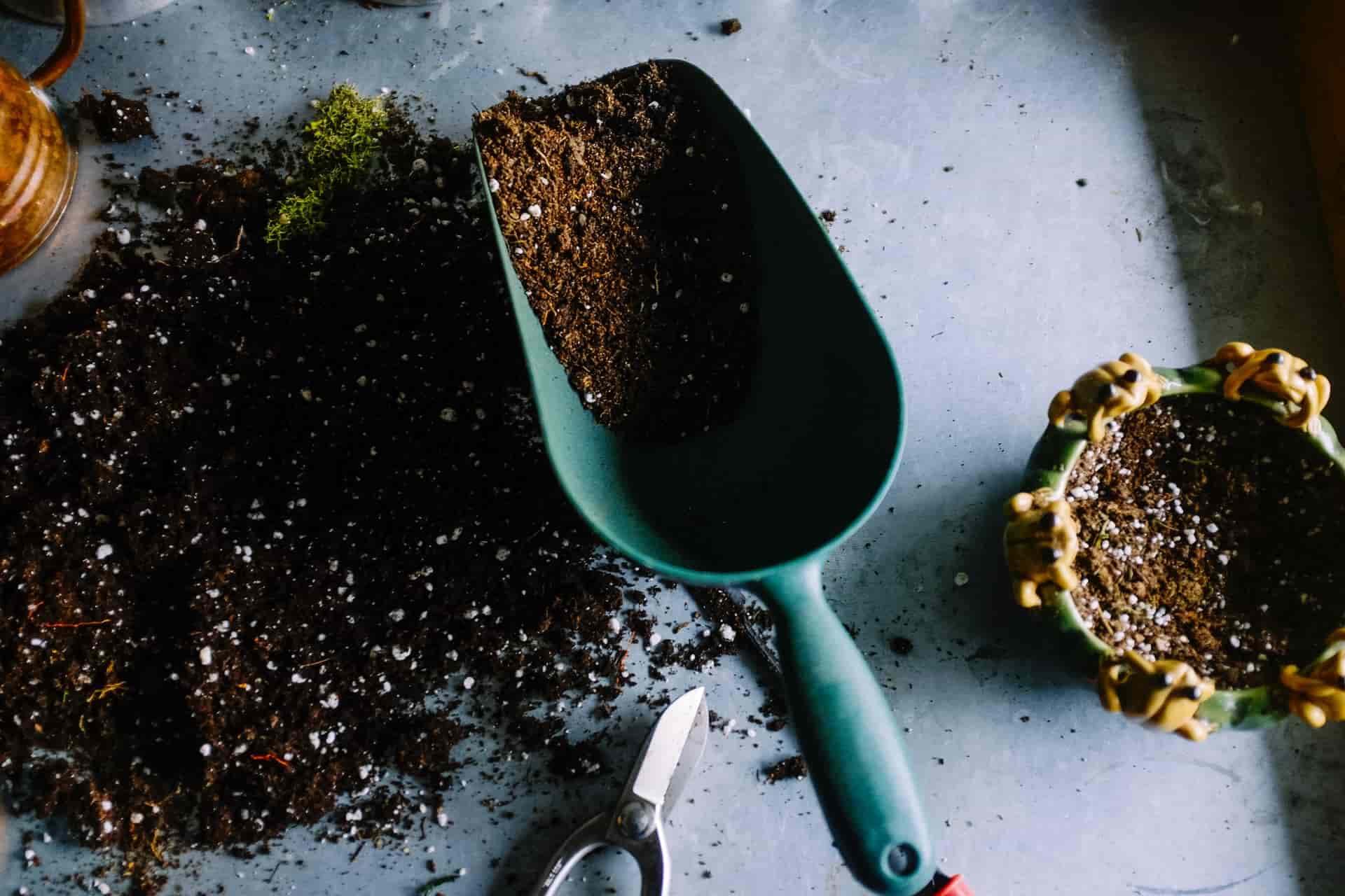Does Potting Soil Go Bad? [ Here’s What You Need To Know ]