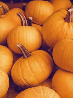 How Much Do Pumpkins Weigh?
